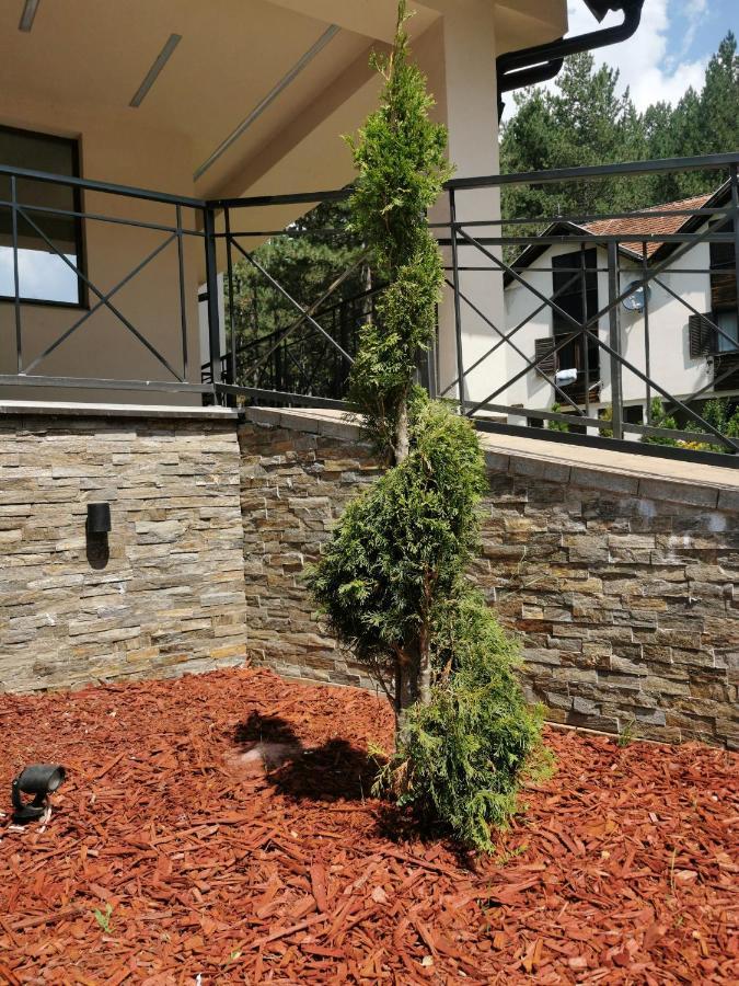 Apartman Stefanovic Vila Darija Lux Zlatibor Exterior foto