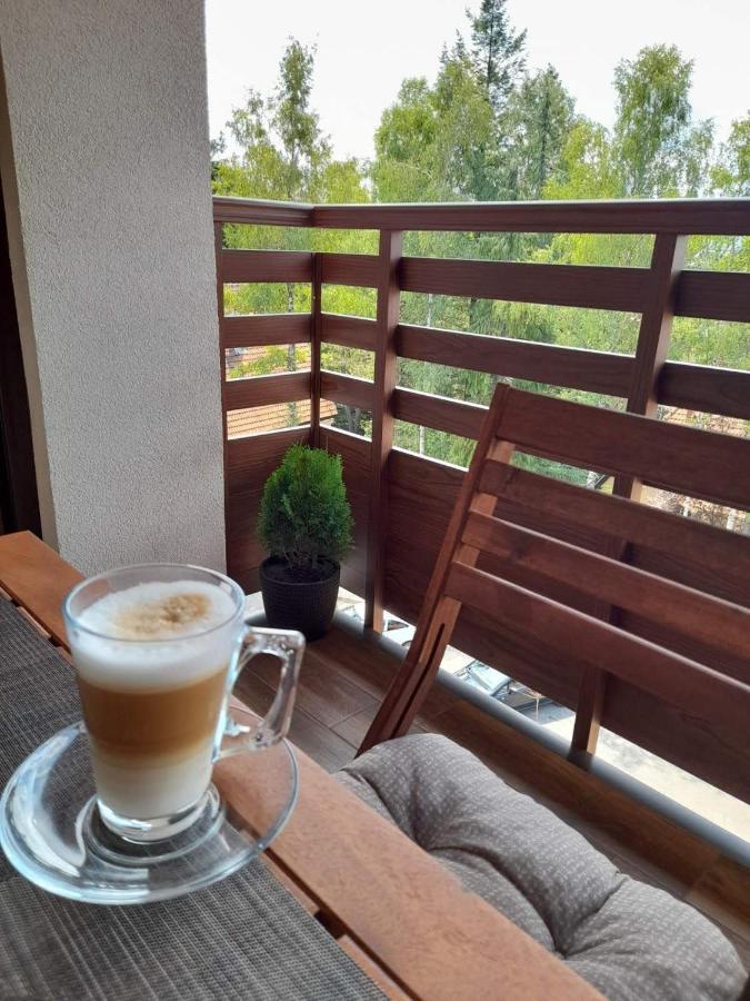 Apartman Stefanovic Vila Darija Lux Zlatibor Exterior foto